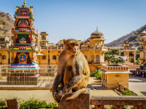 Temple - Jaipur