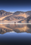 pangong-lake-ladakh