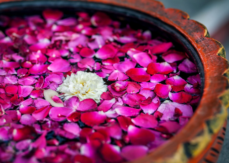 Ayurveda Inde