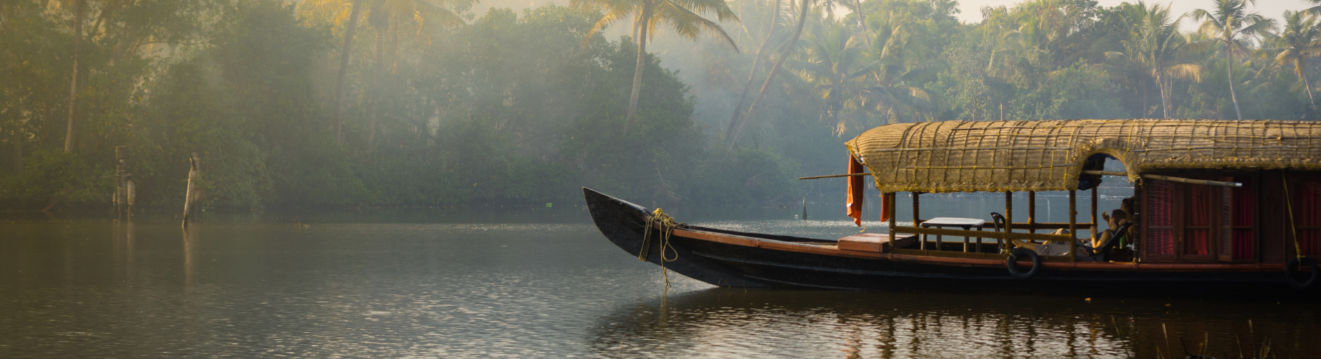 Bateau-traditionnel-backwaters-inde