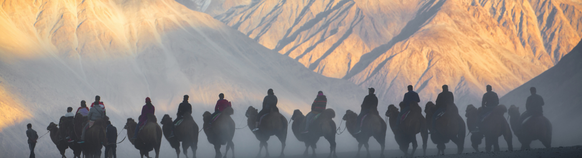 dromadaires-nubra-valley-ladakh