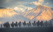 dromadaires-nubra-valley-ladakh