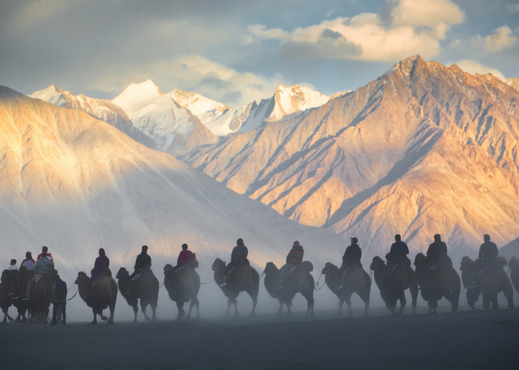 dromadaires-nubra-valley-ladakh