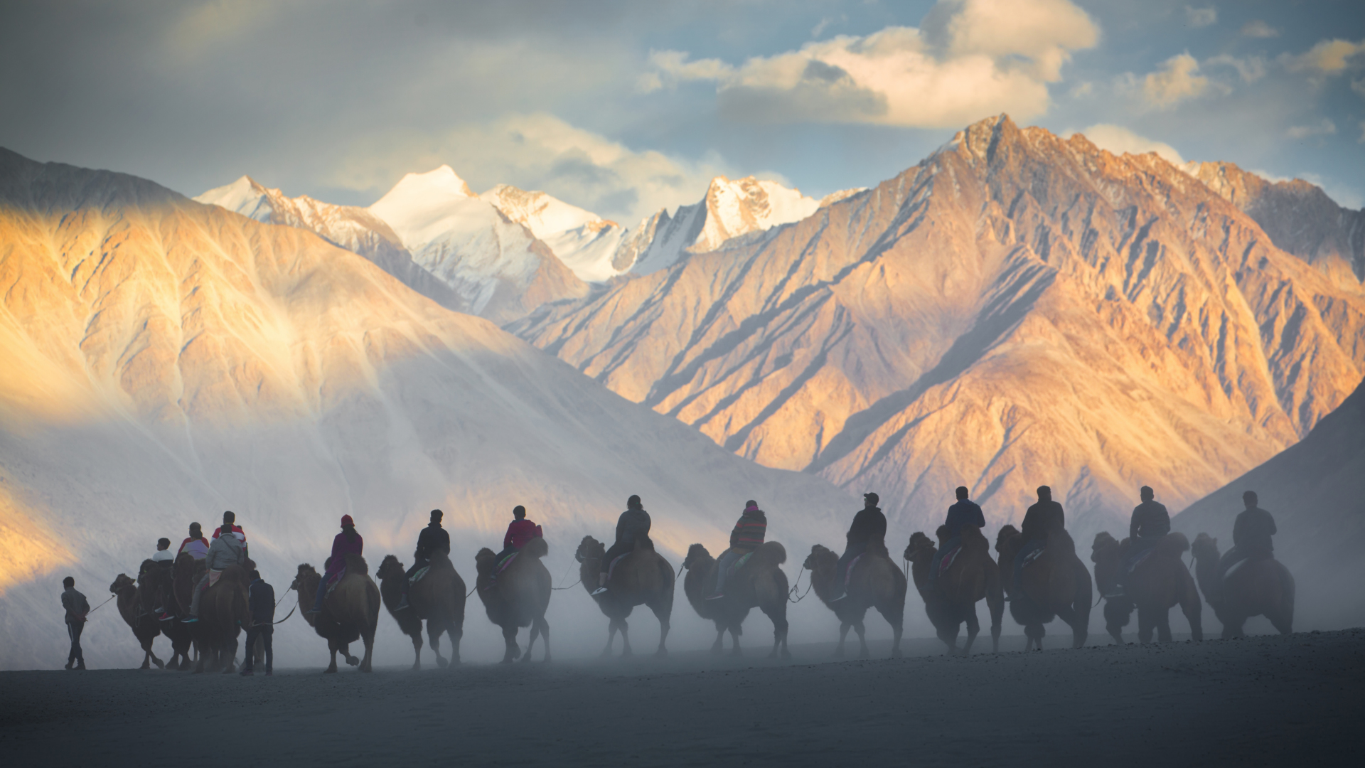 dromadaires-nubra-valley-ladakh