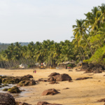 L&rsquo;essentiel du Kerala en circuit