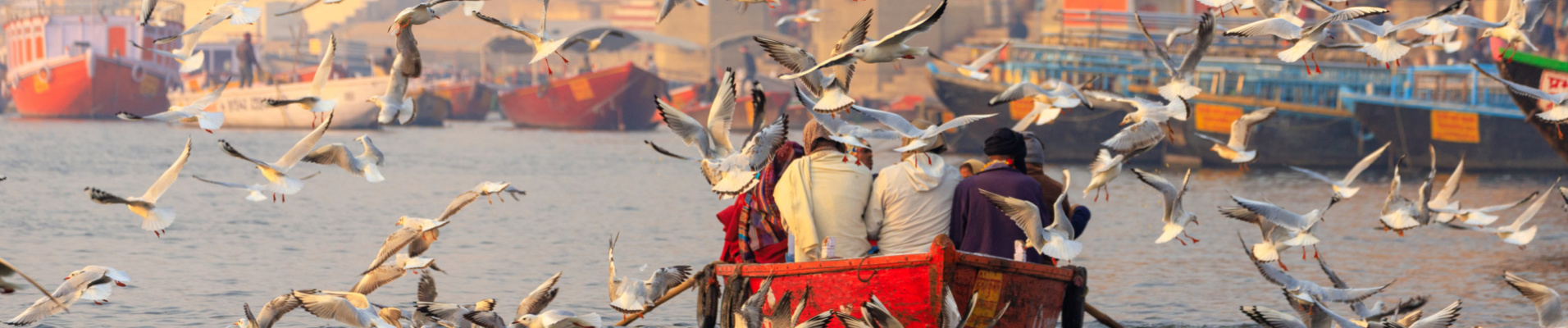 oiseaux-varanasi-inde