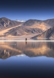 pangong-lake-ladakh