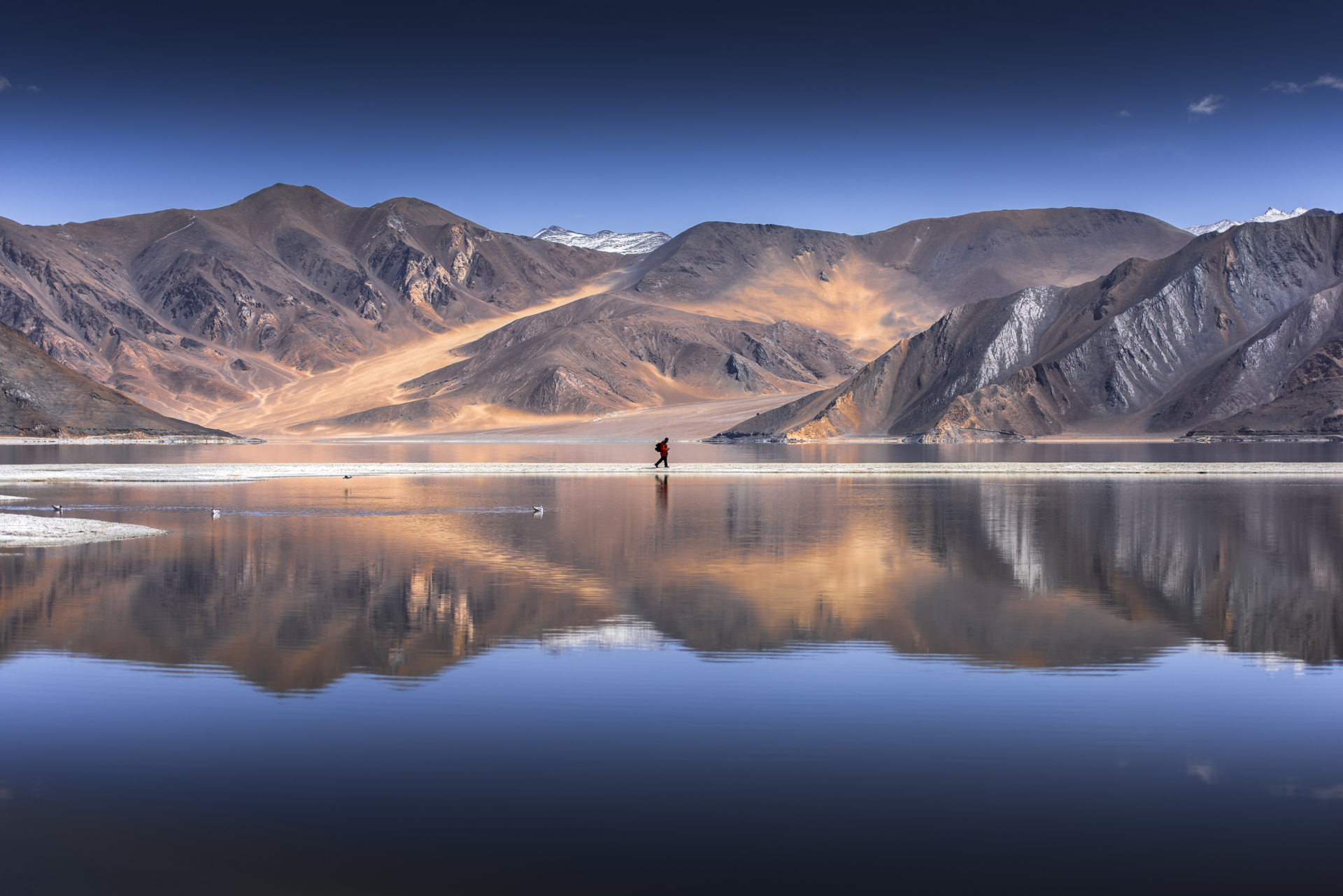 pangong-lake-ladakh