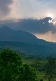 wayanad-inde