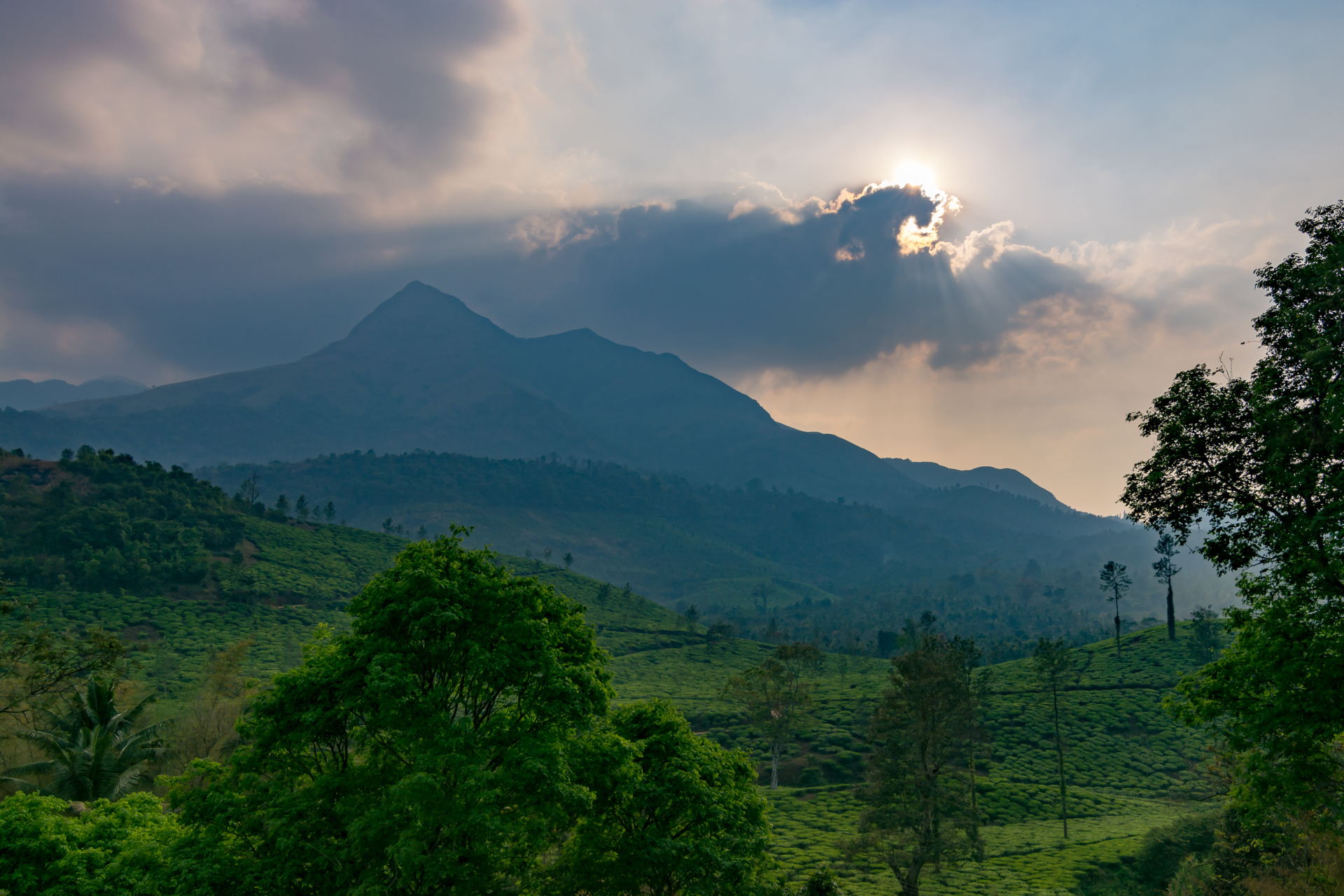 wayanad-inde