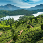 Les incontournables de l&rsquo;Inde du Sud en circuit
