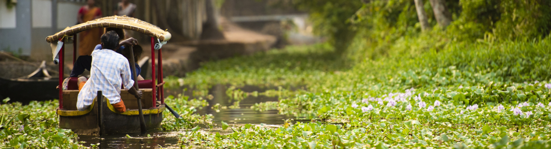 backwater-kerala