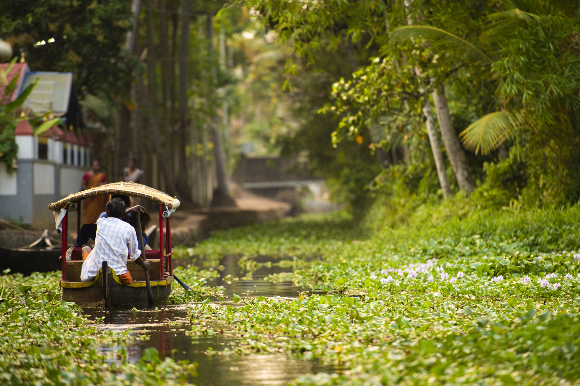 backwater-kerala