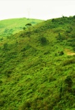 kerala-inde-Pathanamthitta