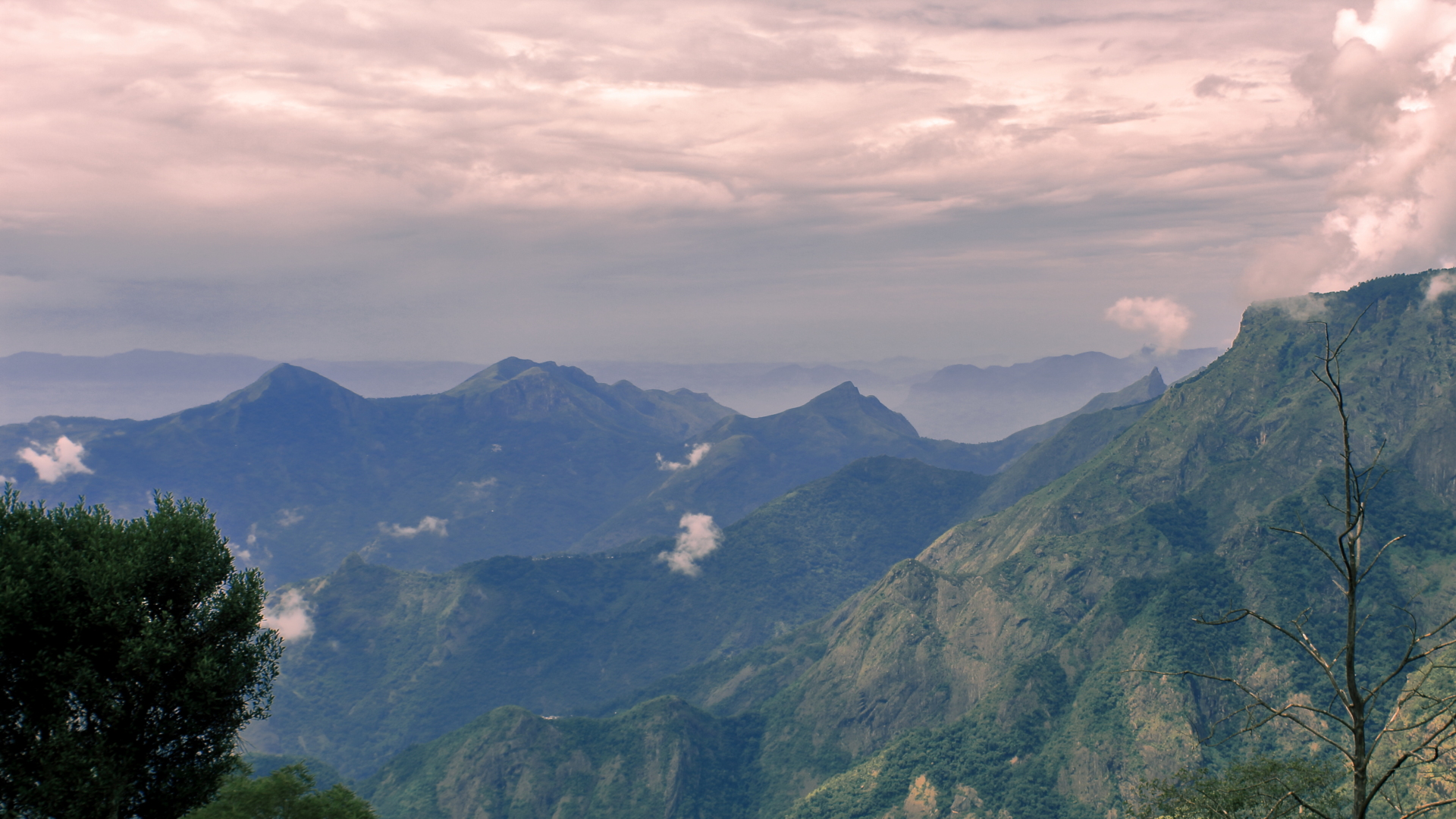 tamil-nadu-Kodaikanal