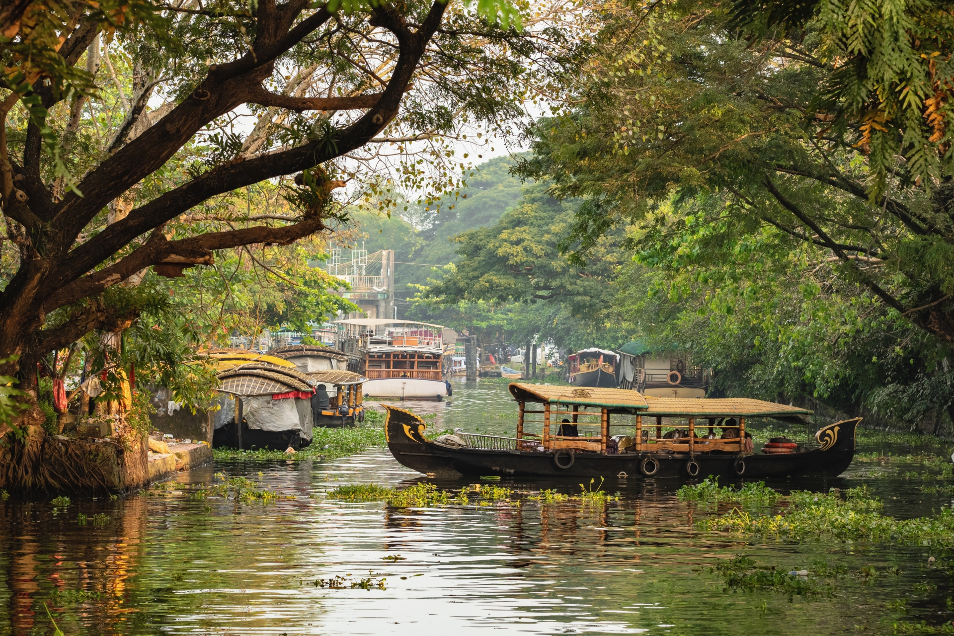 Backwater