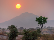 Parc Jawai