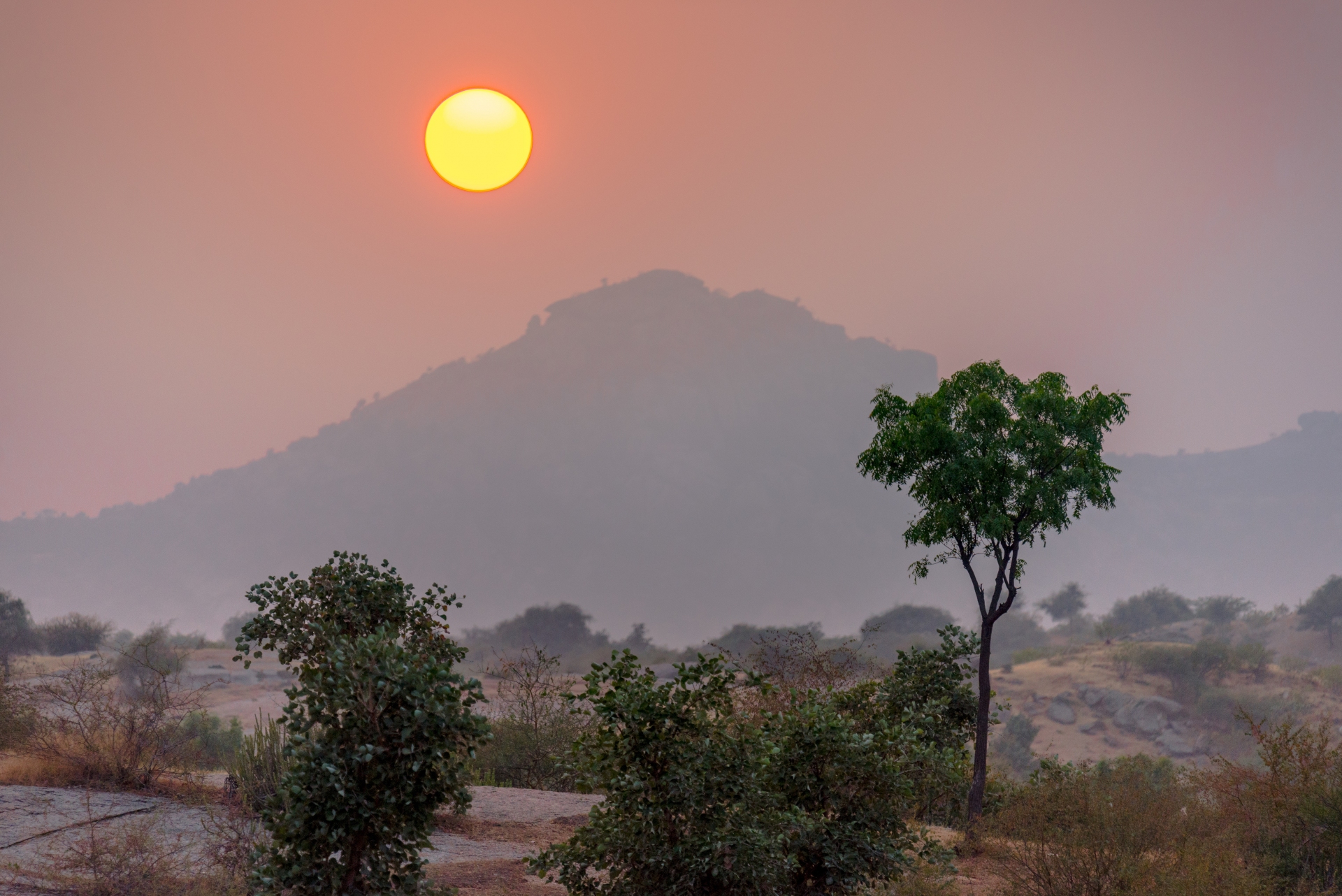 Parc Jawai