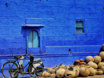 Jodhpur - la ville bleu
