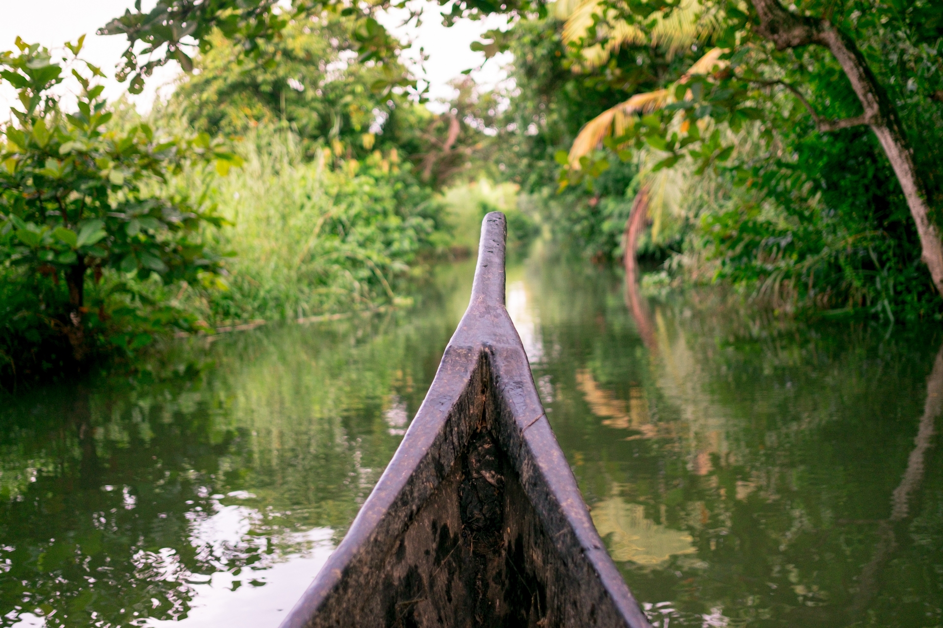 Kumarakom
