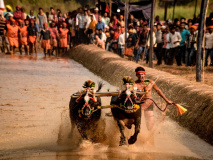 Mangalore Tradition