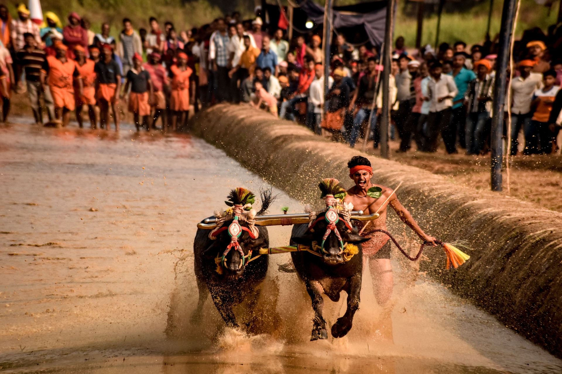 Mangalore Tradition