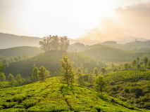 Munnar