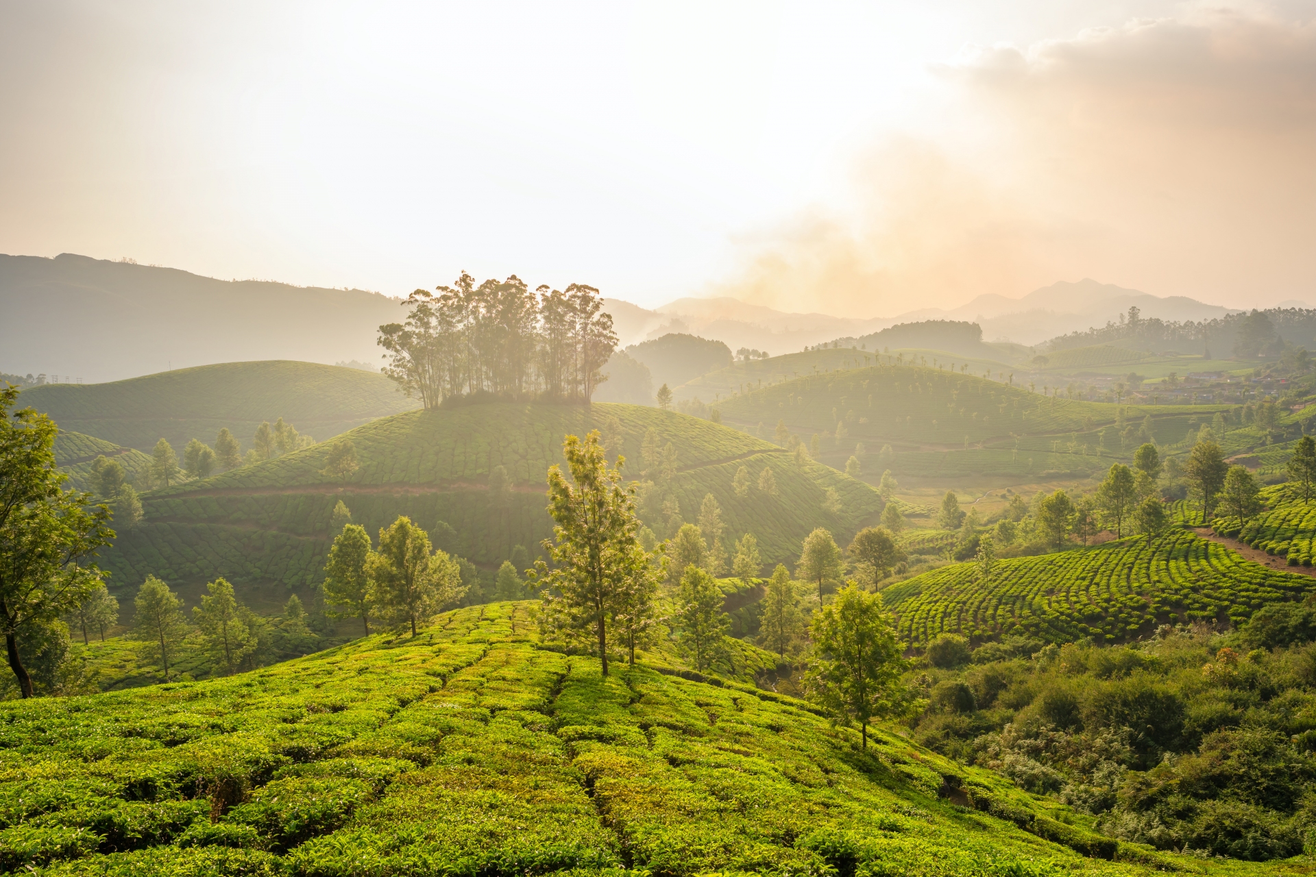 Munnar