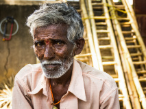 Mysore Portrait