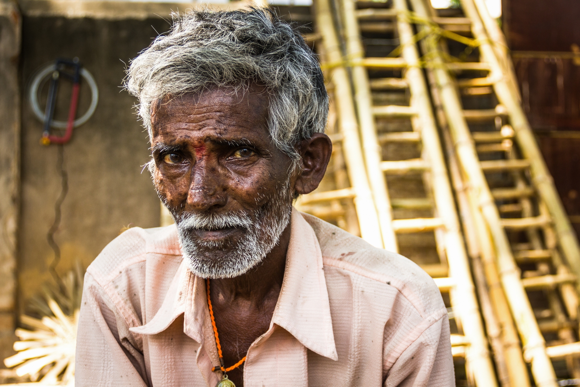 Mysore Portrait