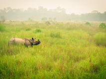 Parc national du Chitwan