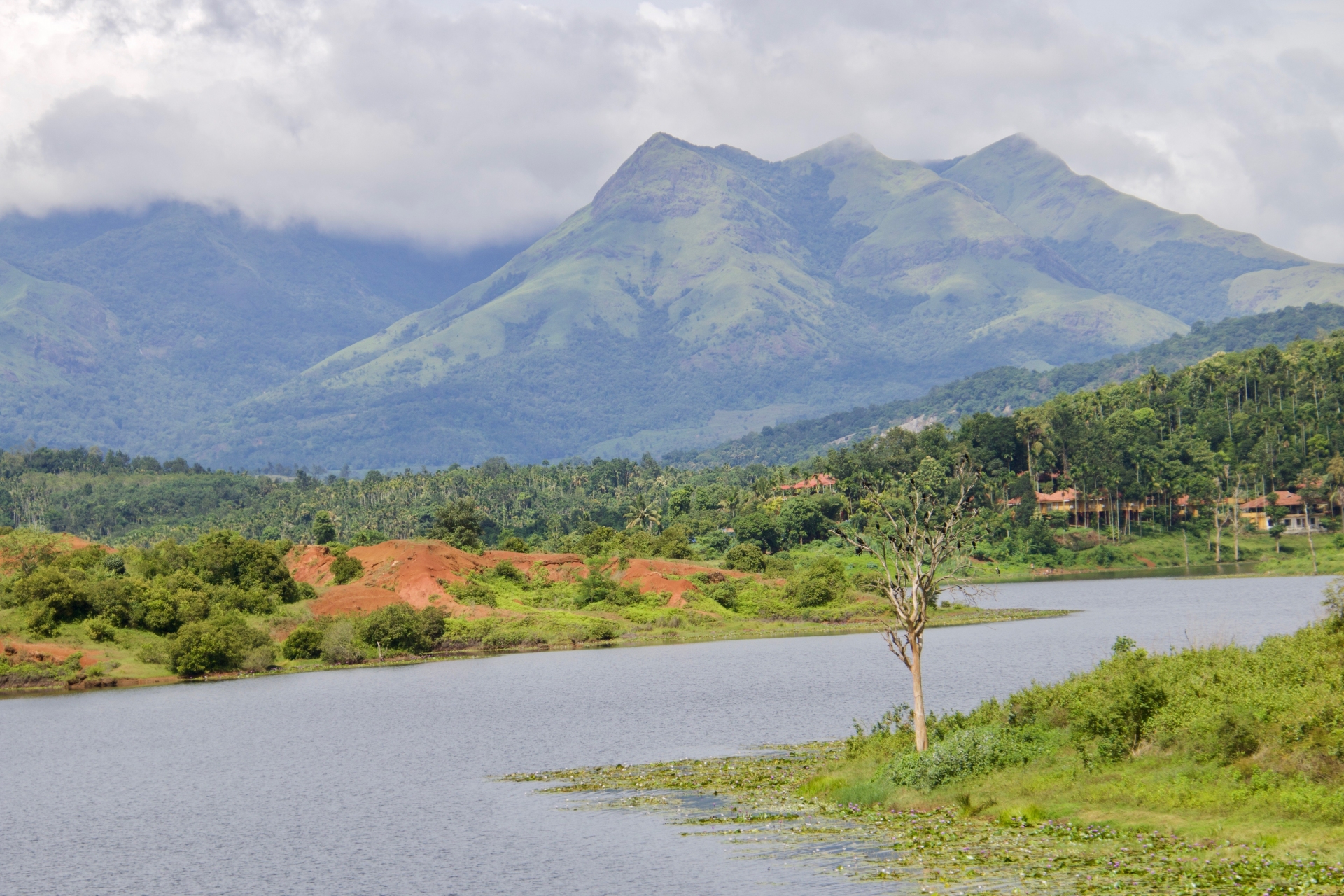 Parc Wayanad