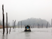 Parc national de Periyar