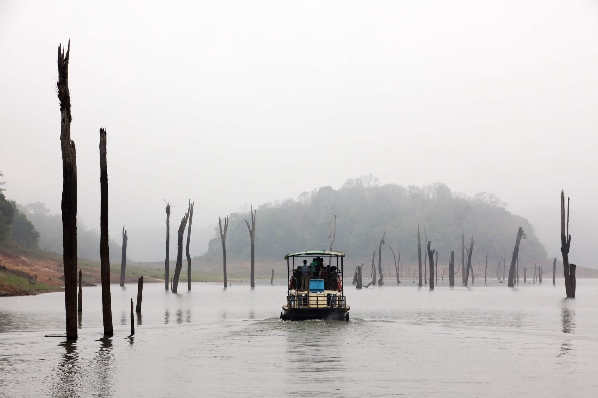 Parc national de Periyar