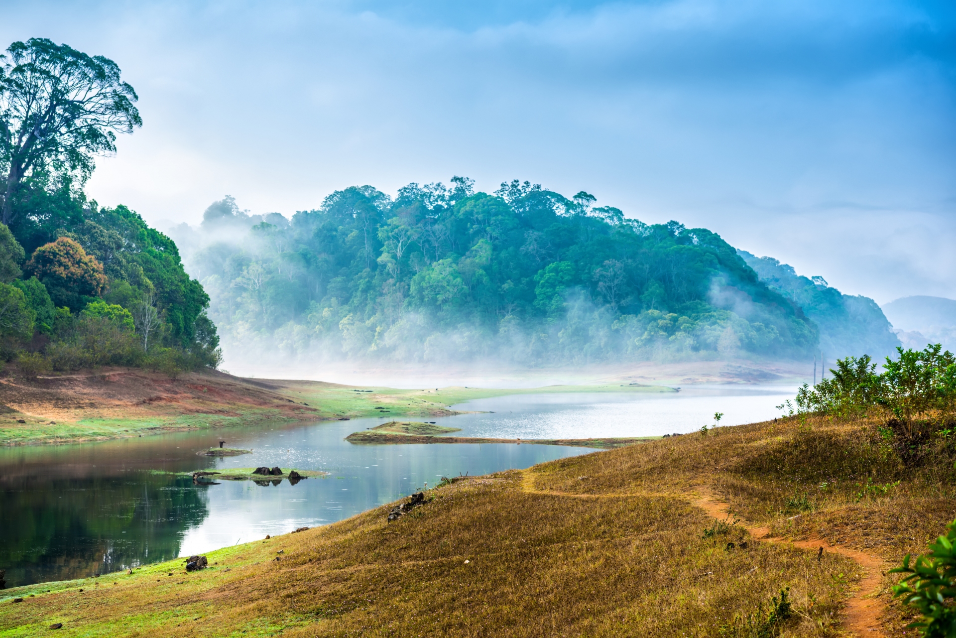 National Parc Periyar
