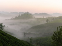 Munnar