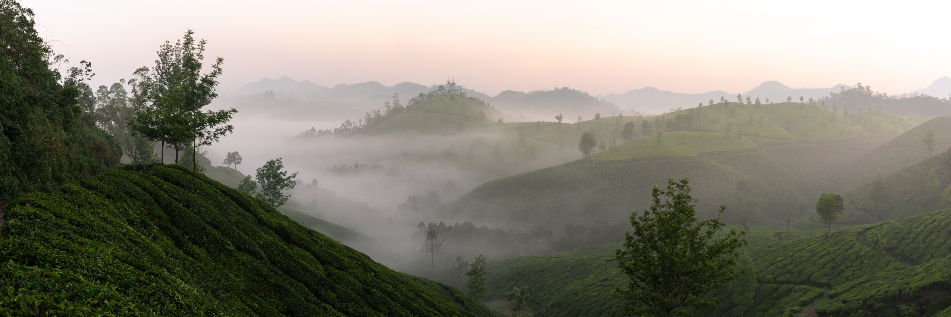 Munnar