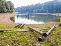 Periyar National Park