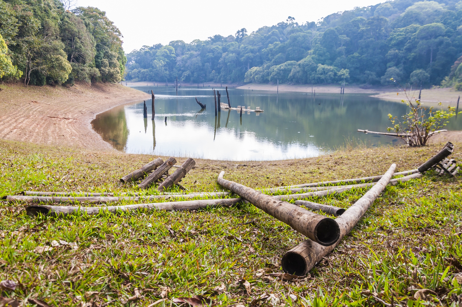 Periyar National Park